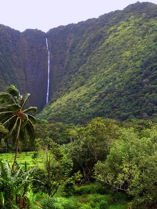 waterfall