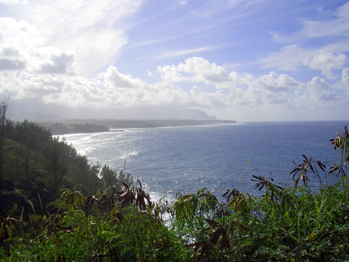 sea clouds