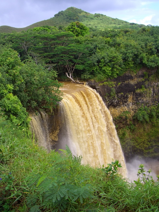 waterfall woods