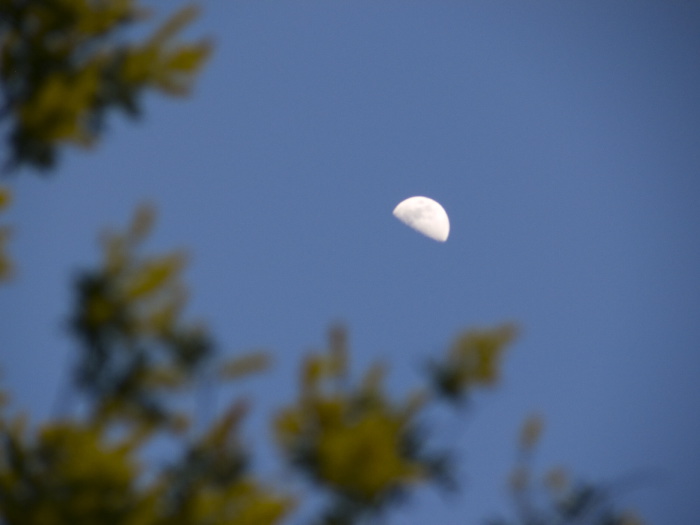 moon