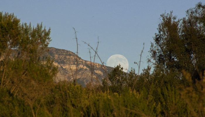 mountain field moon sunset