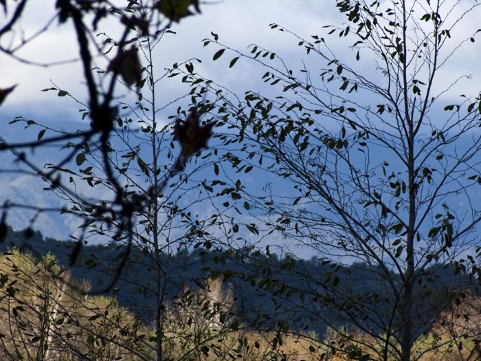 silhouette mountain clouds