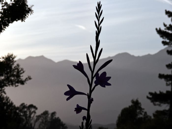 silhouette sunset mountain