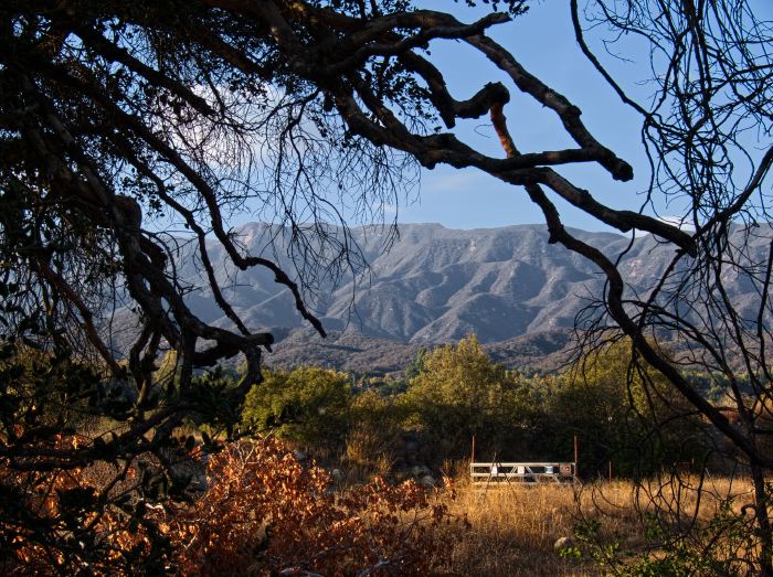 mountain field