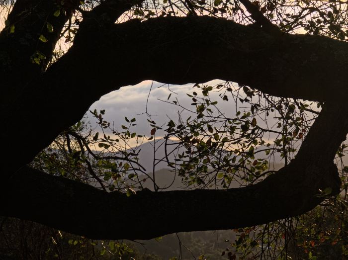 silhouette sunset mountain woods