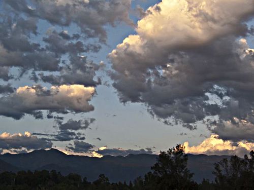 woods clouds mountain