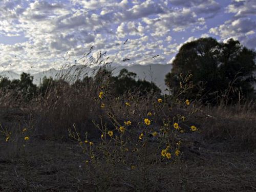 field clouds mountain