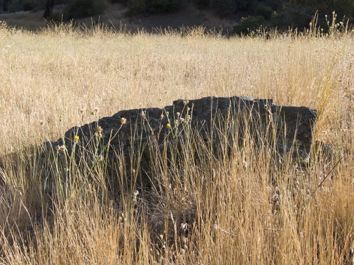 rock field