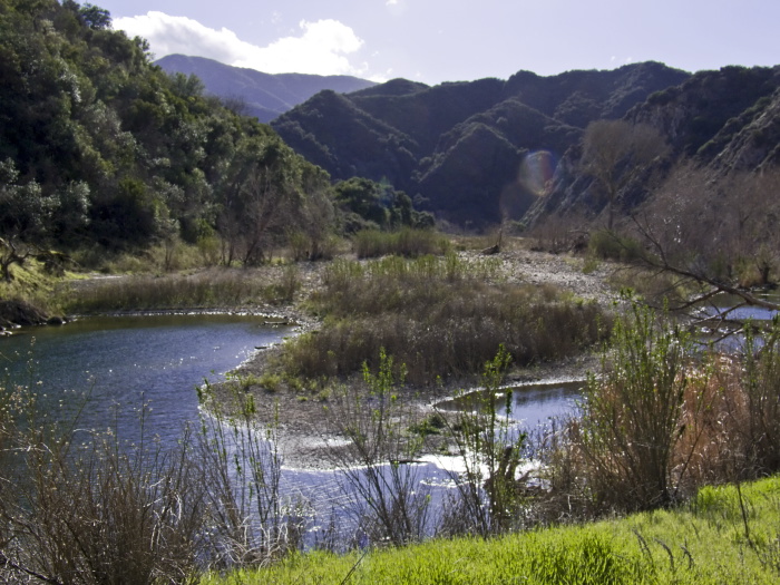 woods river mountain