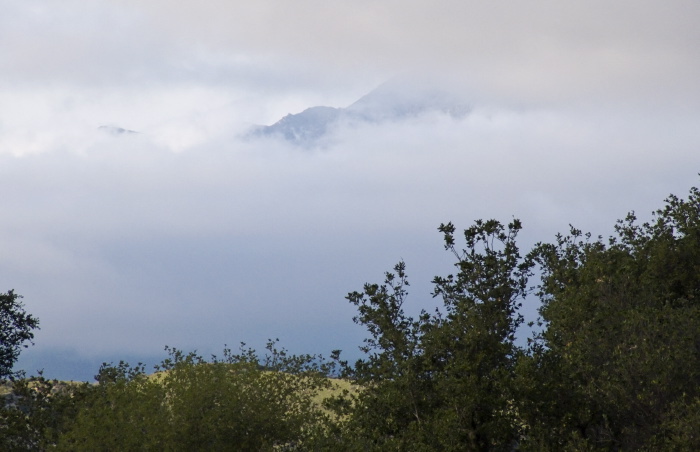 woods mountain clouds