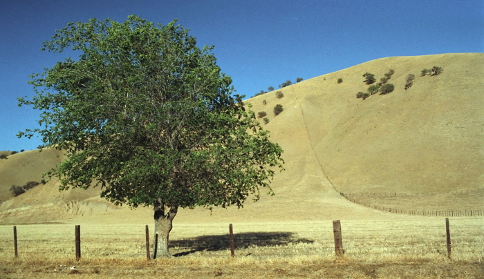 field artifact agriculture