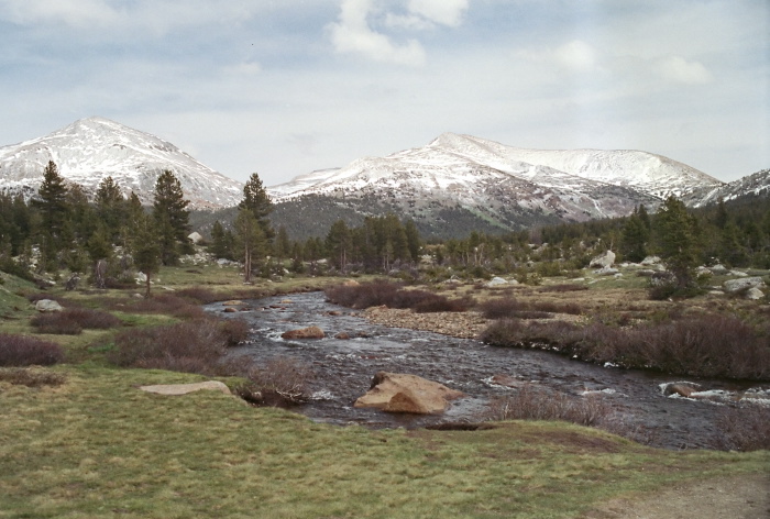 woods snow river mountain field