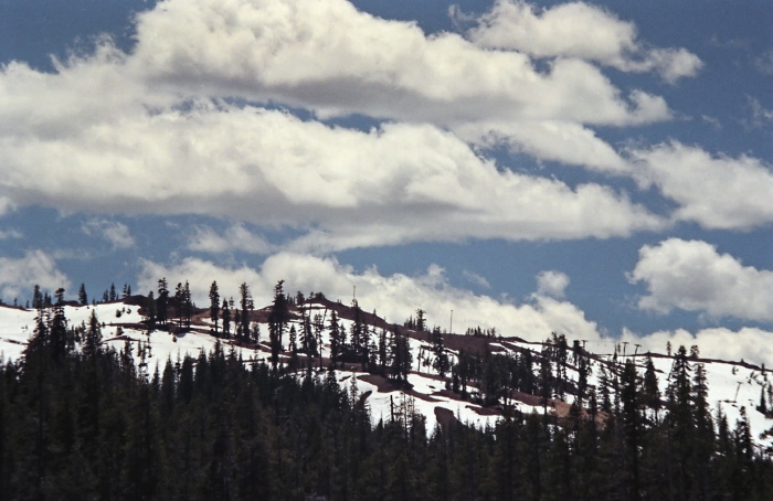 woods snow mountain clouds