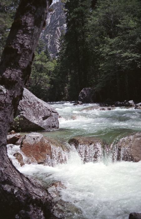 woods waterfall river