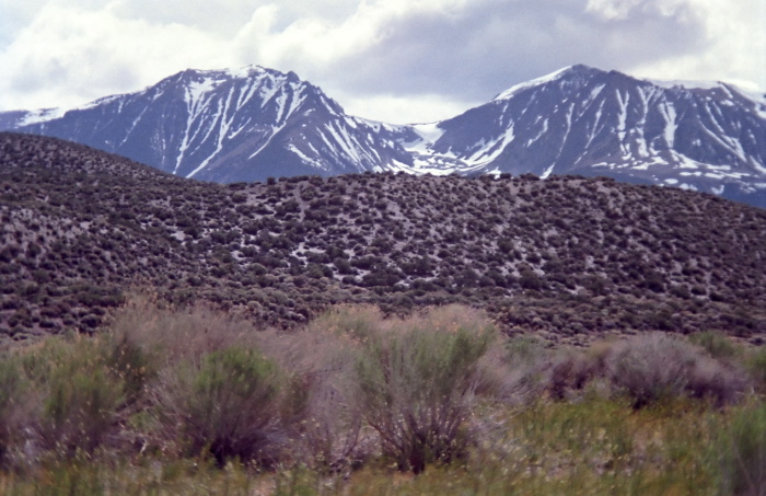 snow mountain desert