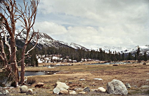 woods snow river mountain field