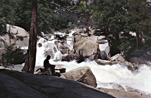 woods waterfall silhouette rock river