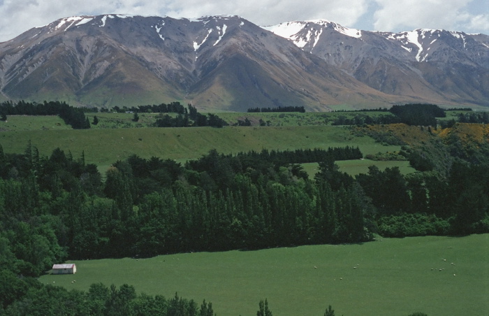 mountain field artifact