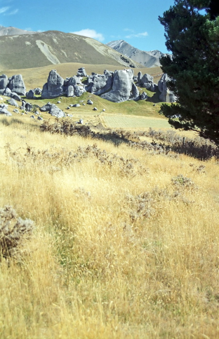 rock mountain field