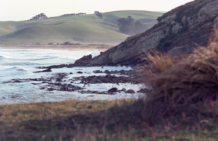 sea rock field