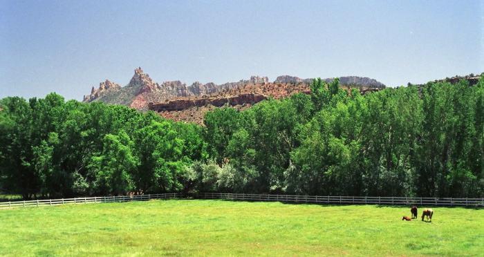 rock erosion artifact field animal horse