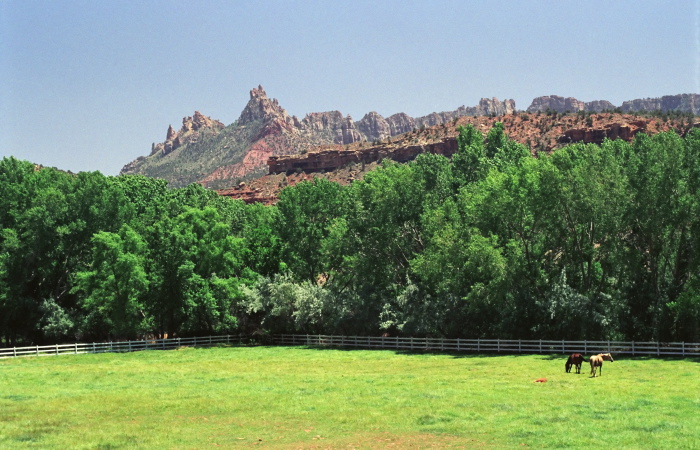 rock field artifact erosion animal horse