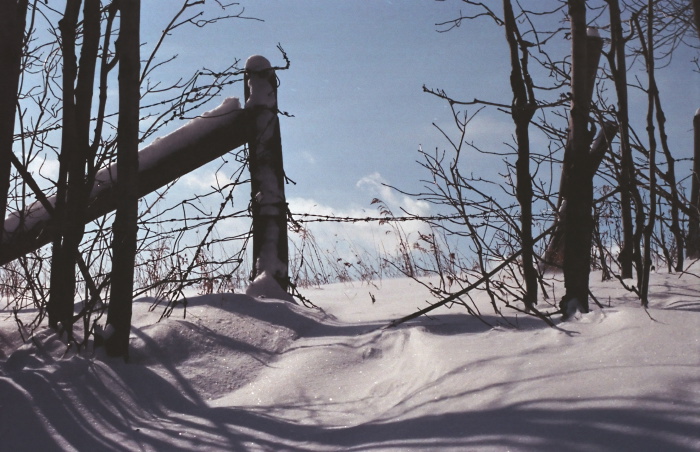 snow woods artifact silhouette