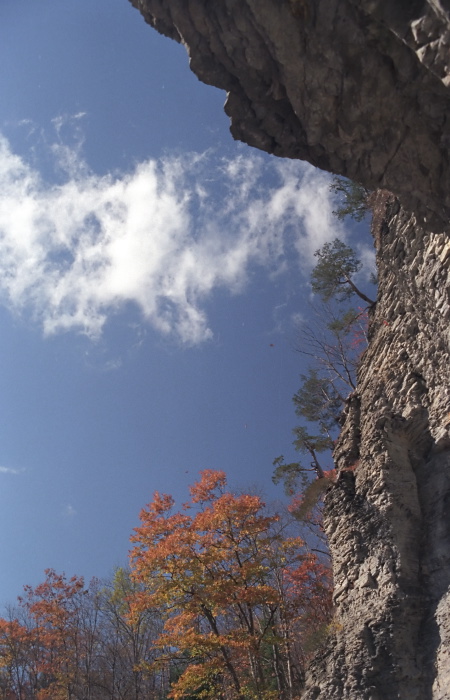 woods rock clouds