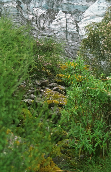 rock rain glacier