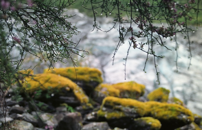 rock rain glacier