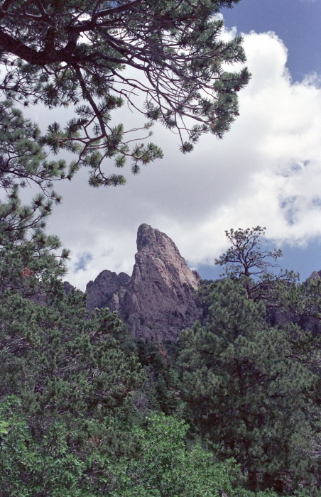 woods rock clouds