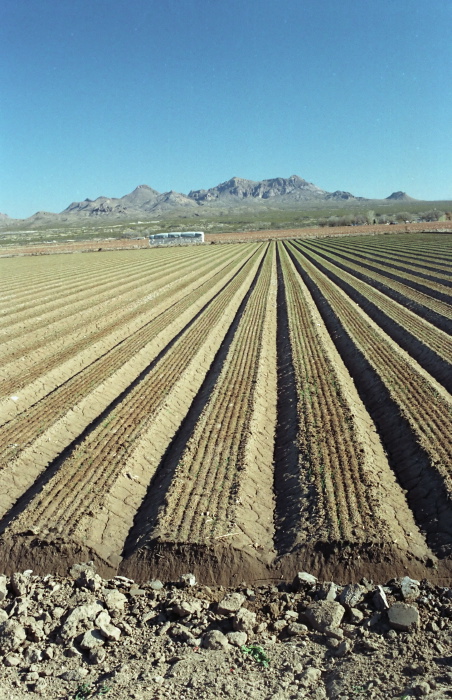 agriculture artifact