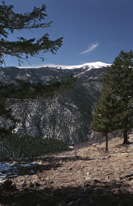 snow mountain woods