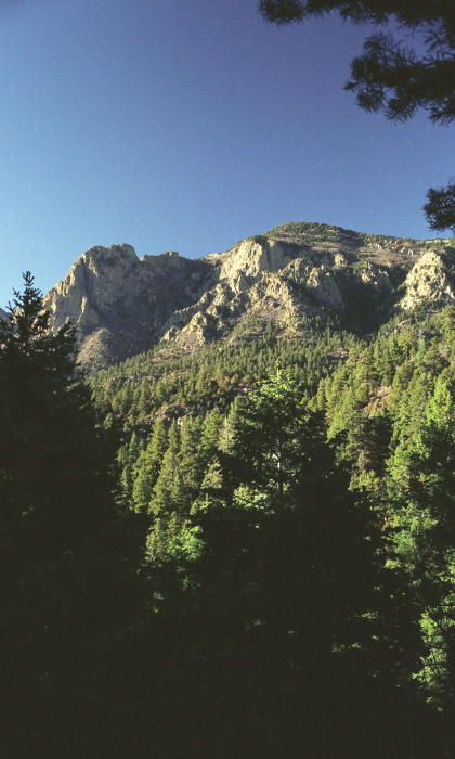 woods mountain