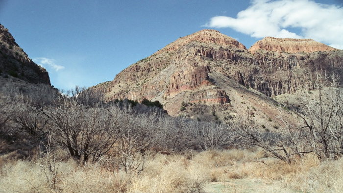 desert field