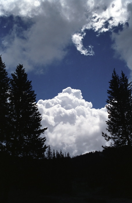 woods silhouette clouds