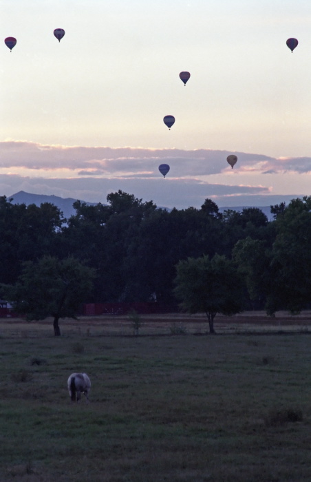 sunrise artifact woods mountain animal horse