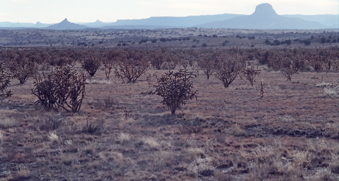 desert erosion