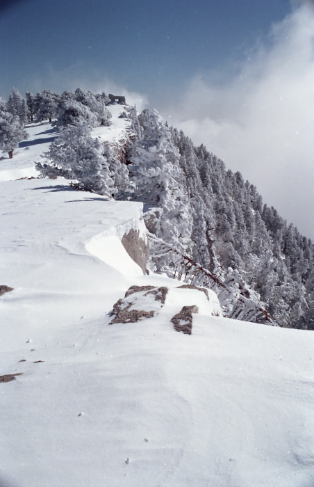 snow clouds mountain woods