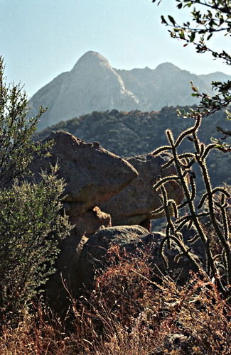 desert mountain silhouette