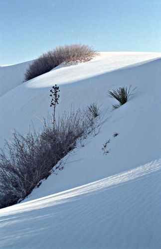 sand desert