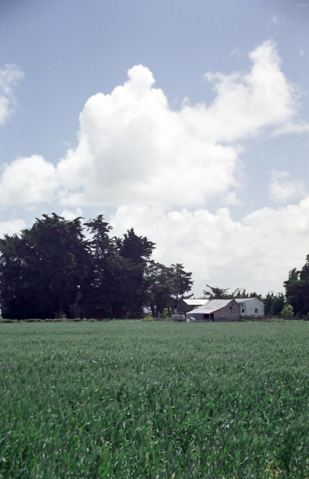 field clouds agriculture