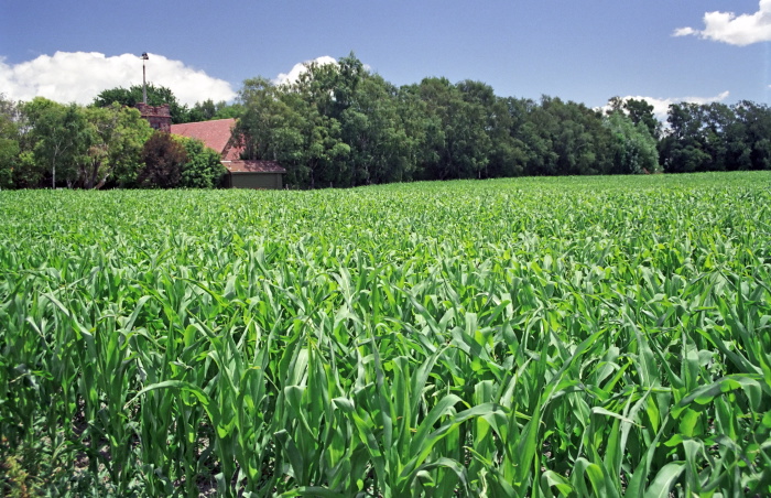 clouds building agriculture