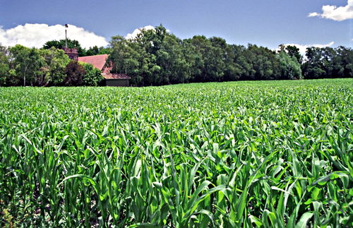 clouds building agriculture